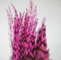 rooster saddle  grizzly pink